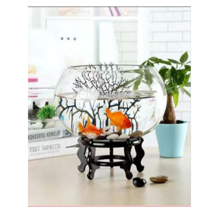 64190475 Pecera de Vidrio 20cm - Imagen 3