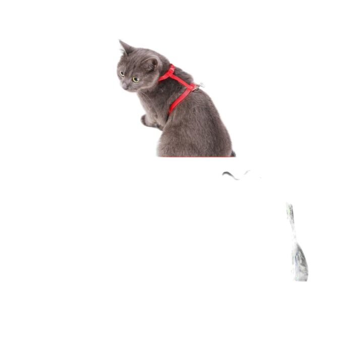 60362751 Arnés De Cadena De Ancla De Camuflaje 1.0 - Imagen 1