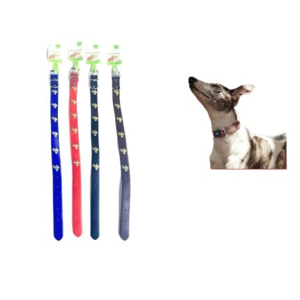 Collar Oso 2.5 Pvc