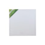 blank