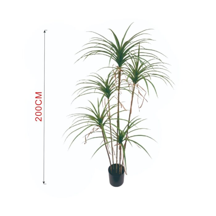 62702727 Yuca 2M 5 Polos (Sin Chasis) Planta Verde Simulada - Imagen 1