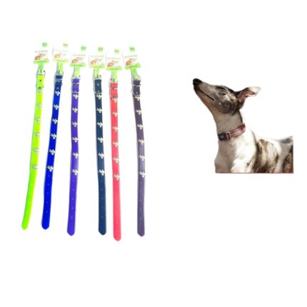 Collar Oso 2.0 Pvc