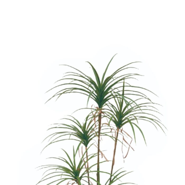 62702728 Yuca 2M 5 Polos (Sin Chasis) Planta Verde Simulada - Imagen 2