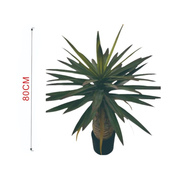 Yuca Con Cola De Fénix, Gran Buda Du Pagoda De 80Cm (Sin Chasis), Planta Verde Simulada - Imagen 1