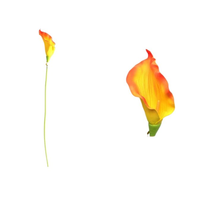 Flor Simulada Kl-Desmontaje Y Montaje De Herradura De Cuero Mediana ¨²nica - Imagen 1