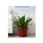 Macetero Elegante H148-2002 con Plato Base – Diámetro 18.5 cm, Alto 14 cm, Base 11.5 cm - Imagen 3